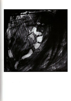 Transes d'images: Anatomie de l'Art S&M