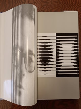 Vasarely II