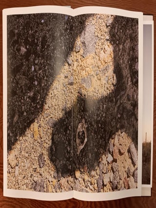 El Camino del Diablo