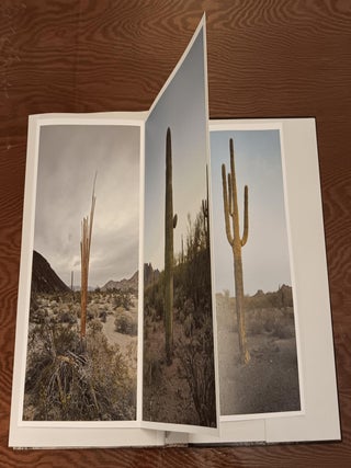 El Camino del Diablo