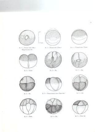 Normal Table of Xenopus Laevis (Daudin): A Systematical and Chronological Survey of the Development from the Fertilized Egg Till the End of Matamorphosis