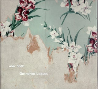 Item #31368 Gathered Leaves. Alec Soth