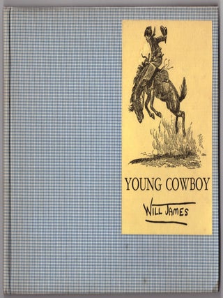 Young Cowboy