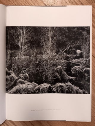 Explorations: A Photographic Journey