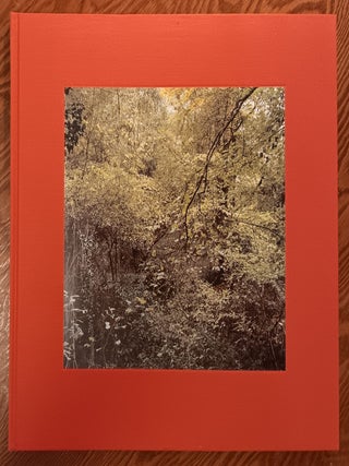 Item #31990 The Painter's Pool. Jem Southam, Christopher Cook, Essay